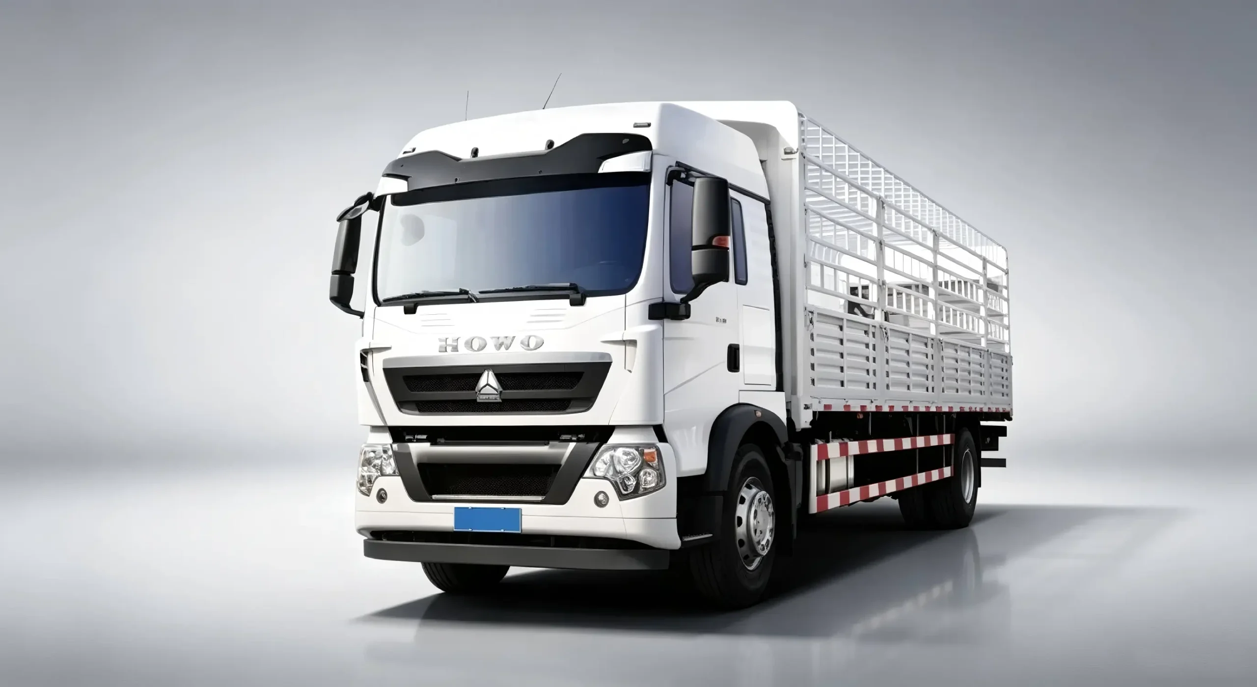 HOWO TX 4x2 cargo trucks